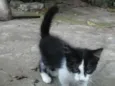 Bebês abandonados