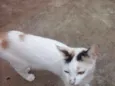 Bebês abandonados
