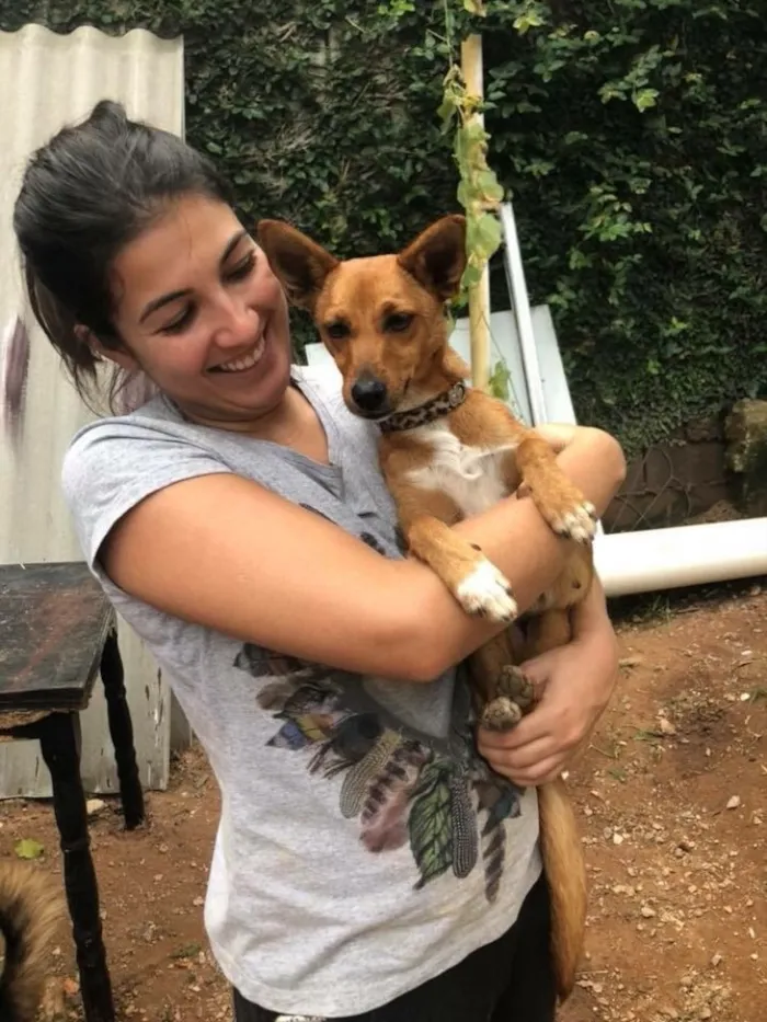 Cachorro ra a SRD  idade  nome Elsa