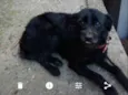Tito