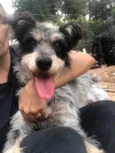 Bob