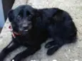 Tito