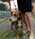 Lua