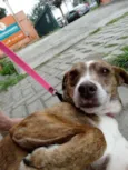 Lua