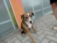 Lua