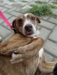 Lua