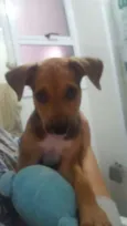 Paçoca