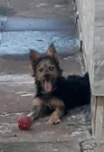 Luna