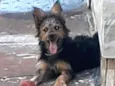 Luna