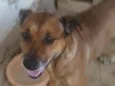 Linda
