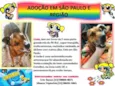 Linda