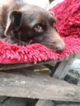 Joao