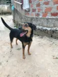 Paulinho