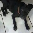 Lua
