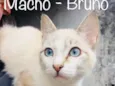 Bruno,Laura, Beatriz
