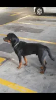 Rot