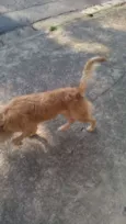 Bob