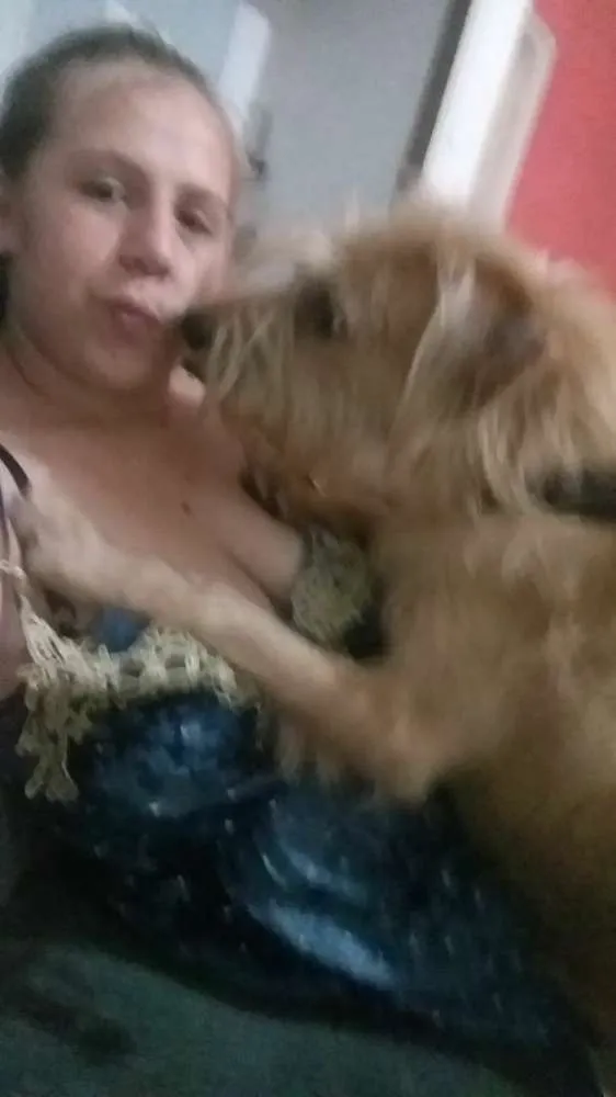 Cachorro ra a Vira lata idade 7 a 11 meses nome Bob