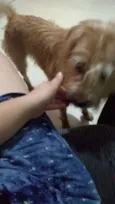 Bob