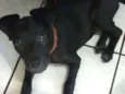 Lua