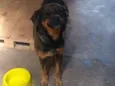 Zulu