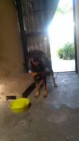 Zulu