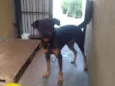 Zulu