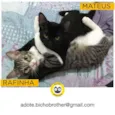 Rafa e Mateus