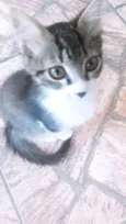 Mia