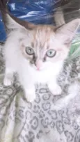 Mia