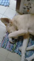 Nina