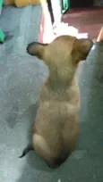 Bolt