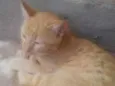 loro