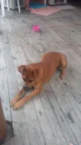 mel