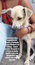sem nome
