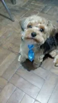 Fred