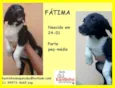 Fátima Bebezinha