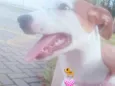 Meg