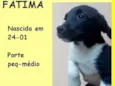 Fátima Bebezinha