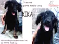 Kika Filhotinha