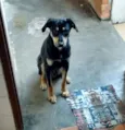 Spike
