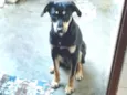 Spike