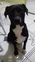 Negao 
