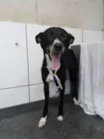 Neguinho