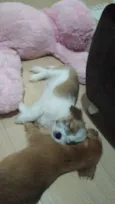 BARTO E SOFIA