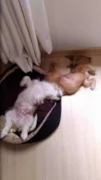 BARTO E SOFIA