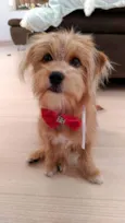 BARTO E SOFIA