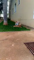 BARTO E SOFIA