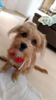 BARTO E SOFIA