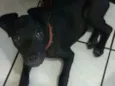 LUA